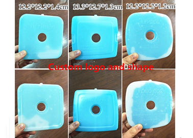 Kundenspezifische blaue harte Plastikeisbeutel für Nahrung 12,2 * 12,2 * 1.2cm