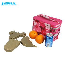 kaufen Heißer kalter harter Shell-HDPE-Plastikkarikatur-Eisbeutel-nette Gefrierschrank-Kühlvorrichtungs-Sätze online manufacture