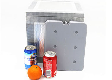 Hocheffiziente Eutektische Kühlplatten Medizinische Kühlpackungen 25 X 20 X 1 cm für Tiefkühlprodukte