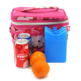 Mini-Eispakete zur Kühlung von Speisen und Getränken in Lunchboxen Picknicks und mehr Mehrzweck-Transportablen und wiederverwendbaren für Camping, Angeln und Mor