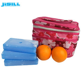 FDA genehmigt HDPE Hard Plastic Kühlgerät Gel Eispack Camping Tiefkühlmittel für Kühltasche für Tiefkühlmittel