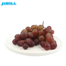 Rundes Kühlgel Kaltplatten Gefrierschrank für Obst und Lebensmittel Frisch, 860 ml Inhalt für Lebensmittel Gefroren