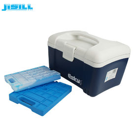 Gefrierschrank-Eis-Block-einfacher Operations-Sitz 1000 G blauer für Produkteinführungs-Tasche und Kühltasche