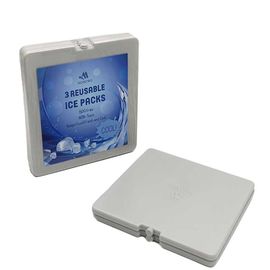 290 ml Fit Frisch Kühlschachtel Eispackungen, Gefrierschachtel Kühlpackungen 19*19*1cm Größe Für Lebensmittel Gefroren
